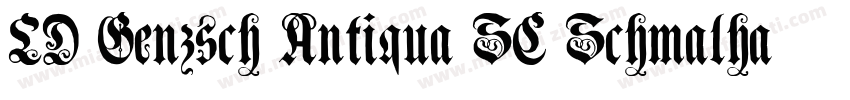LD Genzsch Antiqua SC Schmalhalbfet字体转换
